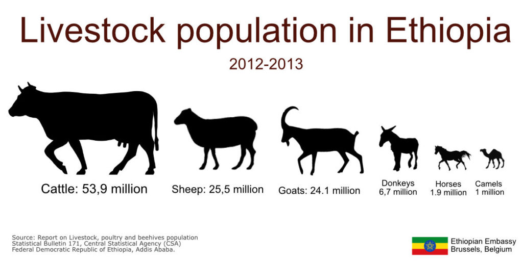 livestock-and-leather